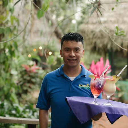Bocawina Rainforest Resort Χόπκινς Εξωτερικό φωτογραφία