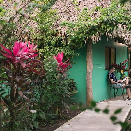 Bocawina Rainforest Resort Χόπκινς Εξωτερικό φωτογραφία