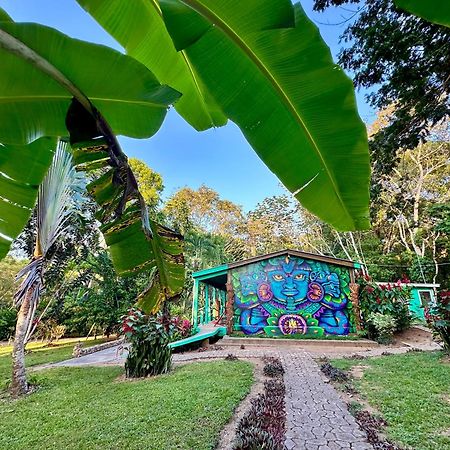 Bocawina Rainforest Resort Χόπκινς Εξωτερικό φωτογραφία