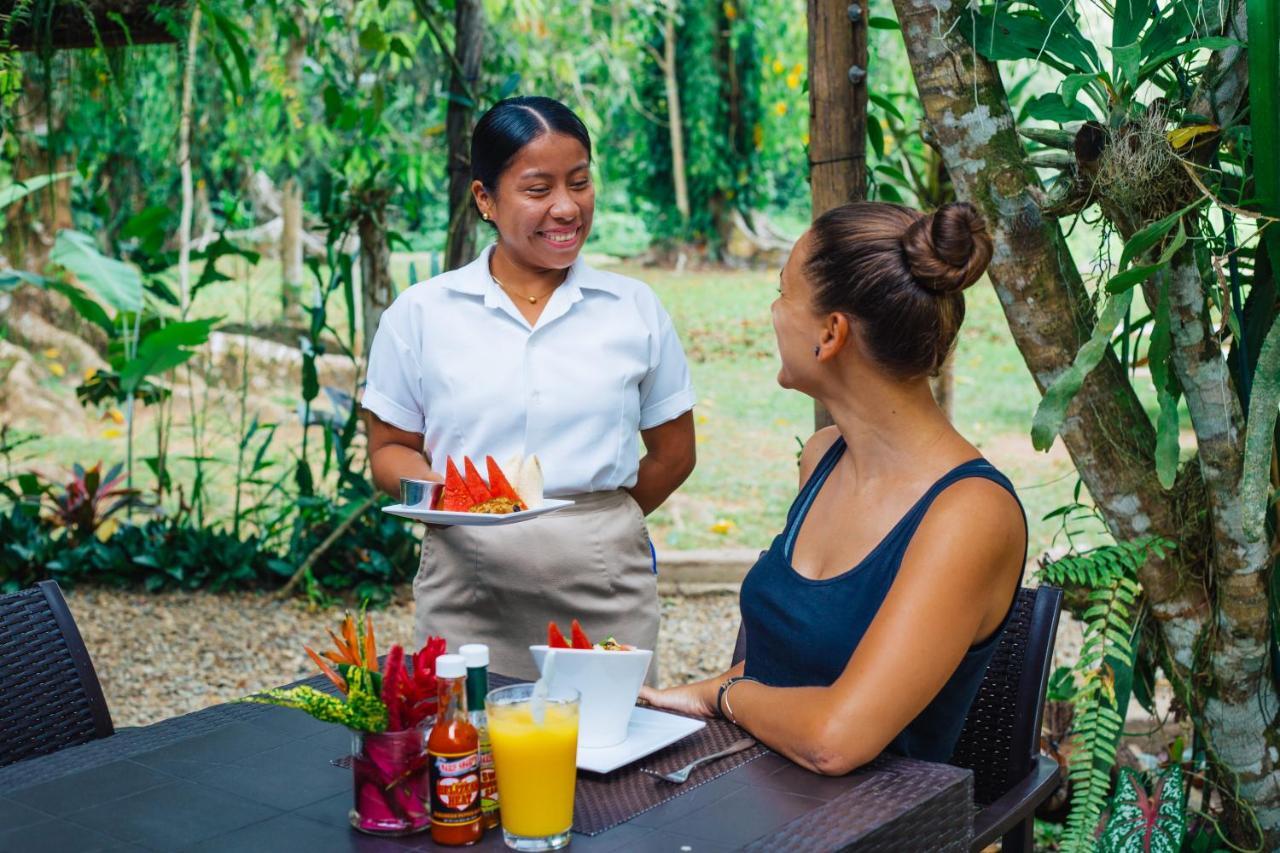 Bocawina Rainforest Resort Χόπκινς Εξωτερικό φωτογραφία