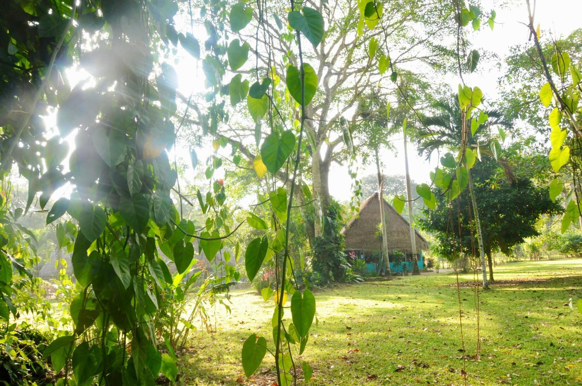 Bocawina Rainforest Resort Χόπκινς Εξωτερικό φωτογραφία