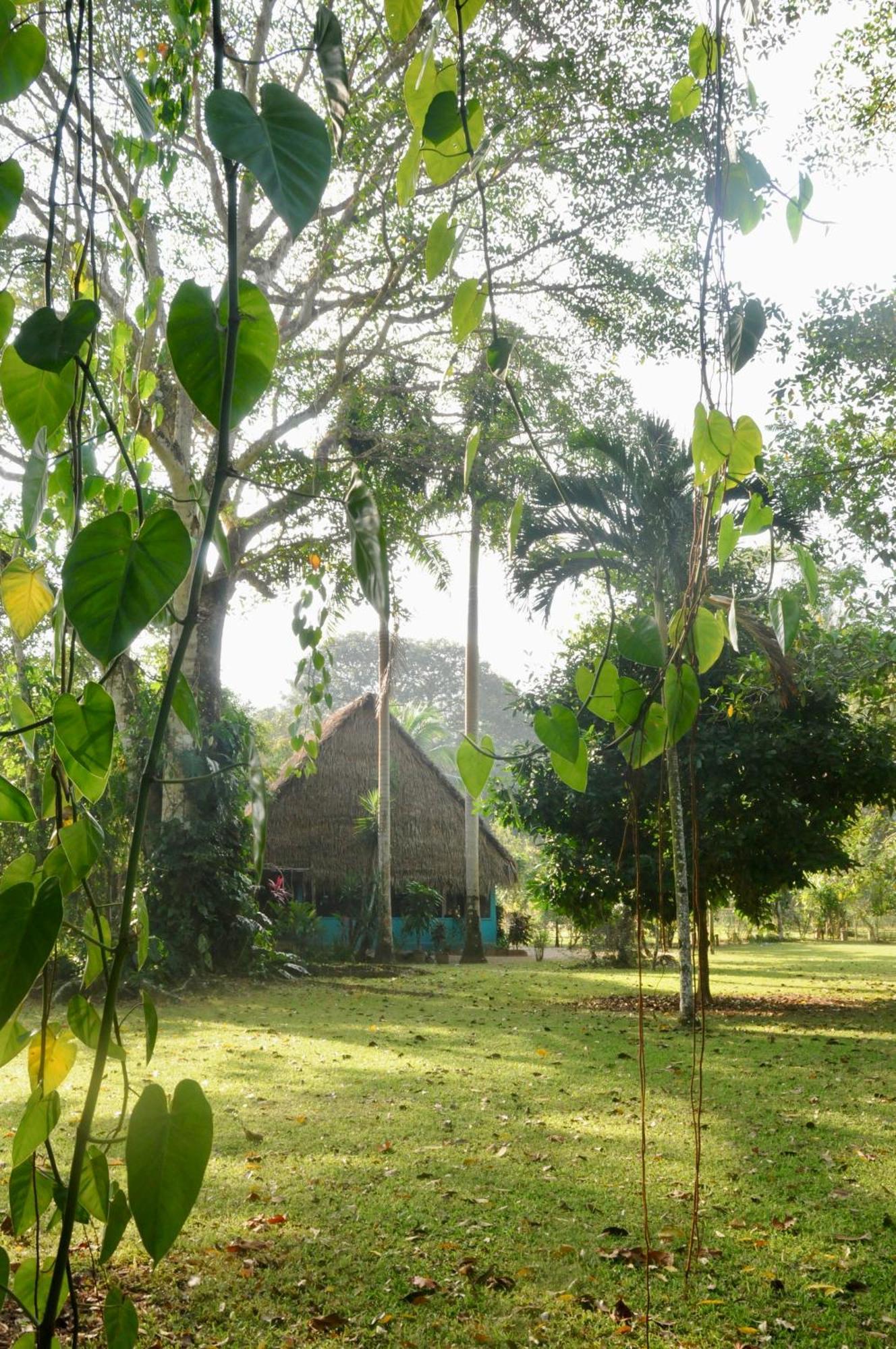 Bocawina Rainforest Resort Χόπκινς Εξωτερικό φωτογραφία