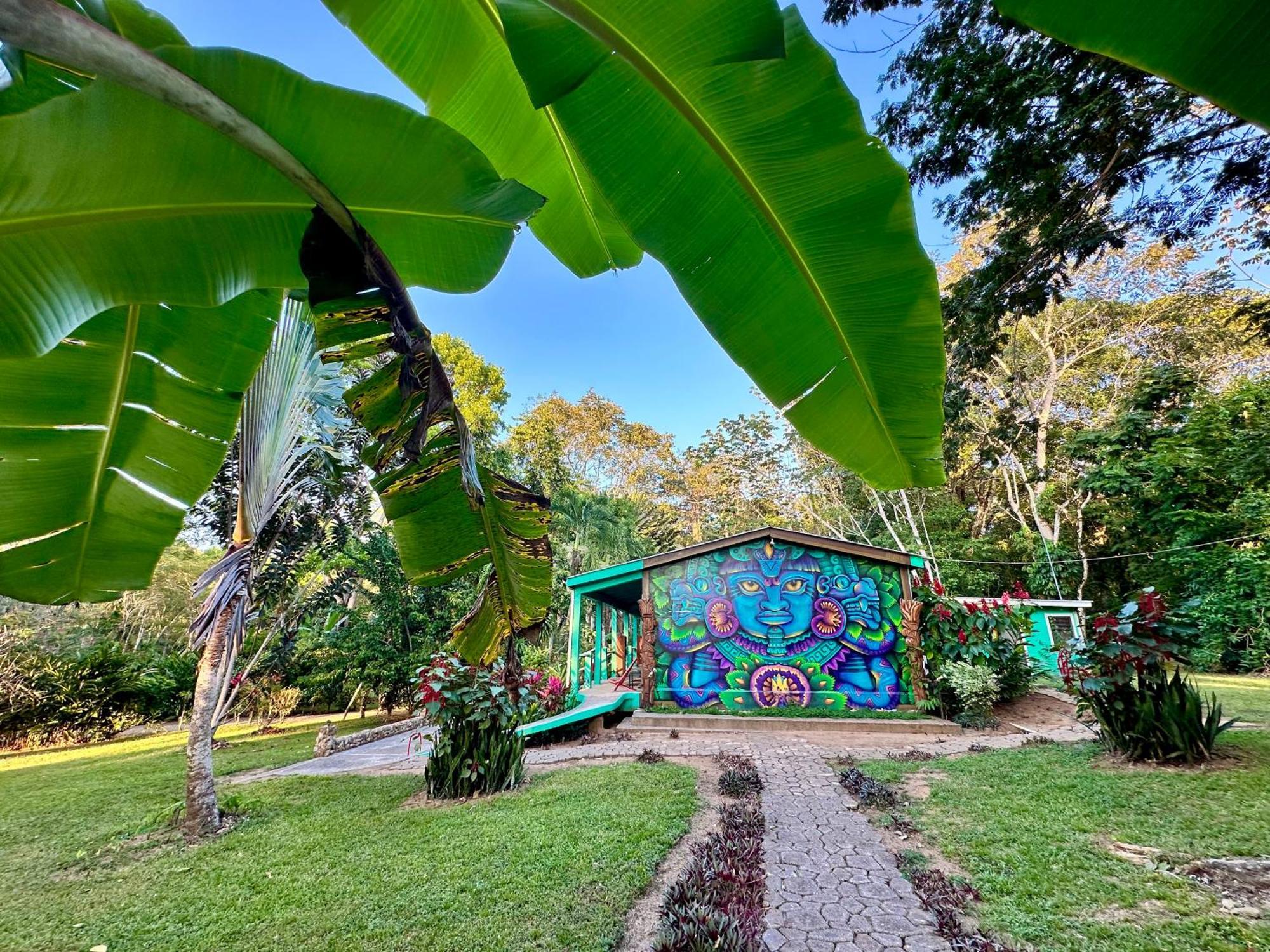 Bocawina Rainforest Resort Χόπκινς Εξωτερικό φωτογραφία