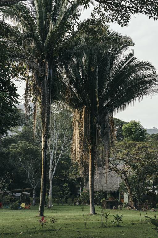 Bocawina Rainforest Resort Χόπκινς Εξωτερικό φωτογραφία