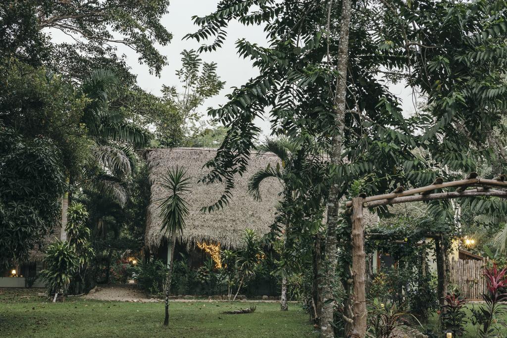 Bocawina Rainforest Resort Χόπκινς Εξωτερικό φωτογραφία