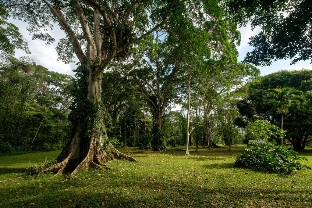 Bocawina Rainforest Resort Χόπκινς Εξωτερικό φωτογραφία