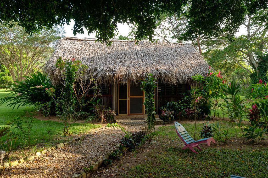 Bocawina Rainforest Resort Χόπκινς Εξωτερικό φωτογραφία