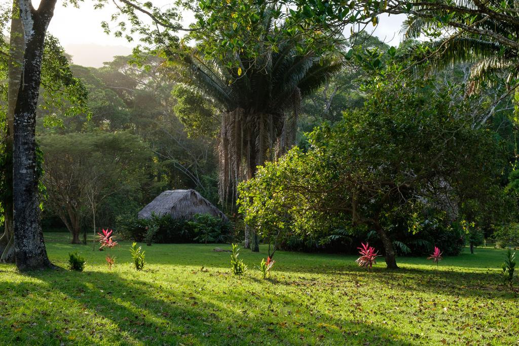 Bocawina Rainforest Resort Χόπκινς Εξωτερικό φωτογραφία