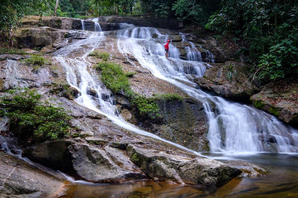 Bocawina Rainforest Resort Χόπκινς Εξωτερικό φωτογραφία