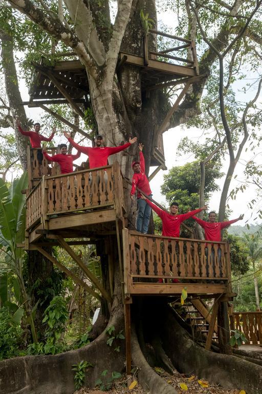 Bocawina Rainforest Resort Χόπκινς Εξωτερικό φωτογραφία