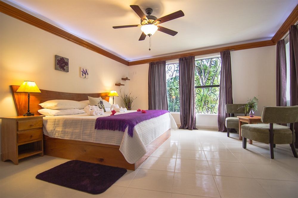 Bocawina Rainforest Resort Χόπκινς Εξωτερικό φωτογραφία